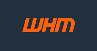 How to add External SMTP on WHM/cPanel with GSuite Relay SMTP